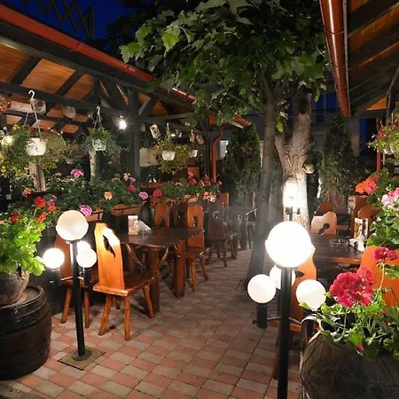 Crama Haiducilor Guest house 4*
